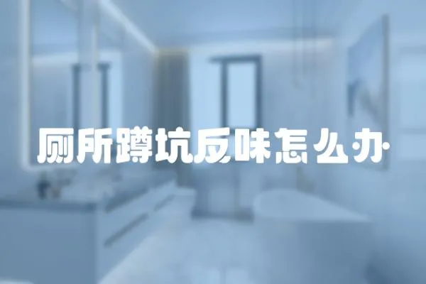 廁所蹲坑反味怎么辦