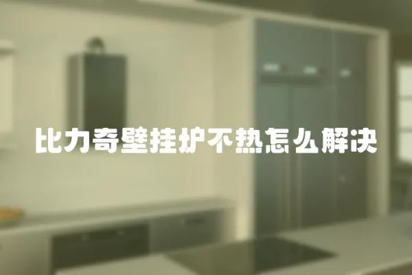 比力奇壁掛爐不熱怎么解決
