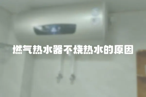 燃?xì)鉄崴鞑粺裏崴脑? loading=