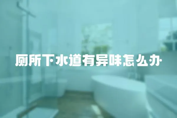 廁所下水道有異味怎么辦