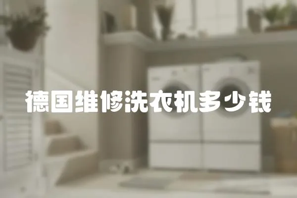 德國維修洗衣機(jī)多少錢