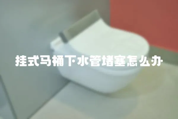 掛式馬桶下水管堵塞怎么辦