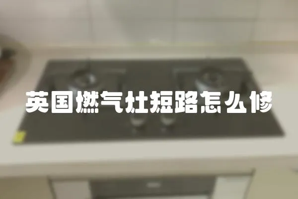 英國燃氣灶短路怎么修