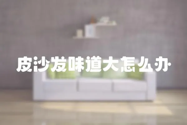 皮沙發味道大怎么辦