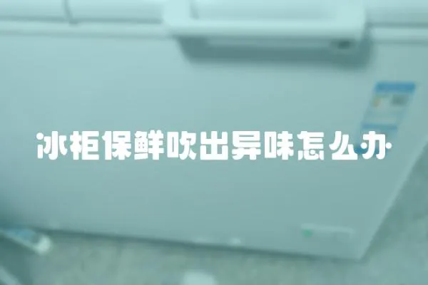 冰柜保鮮吹出異味怎么辦