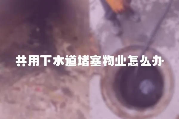共用下水道堵塞物業怎么辦