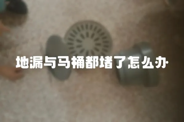 地漏與馬桶都堵了怎么辦