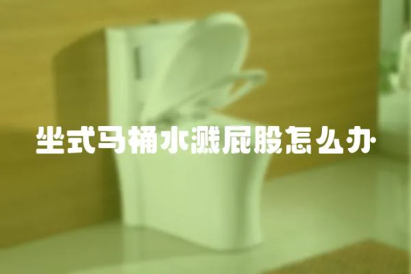 坐式馬桶水濺屁股怎么辦