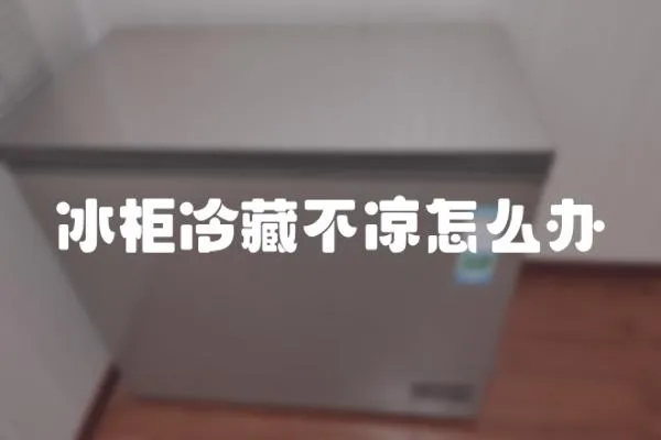 冰柜冷藏不涼怎么辦