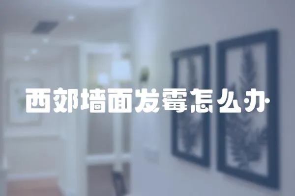 西郊墻面發霉怎么辦