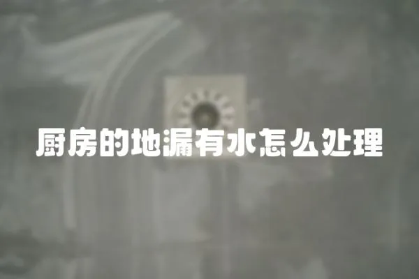 廚房的地漏有水怎么處理