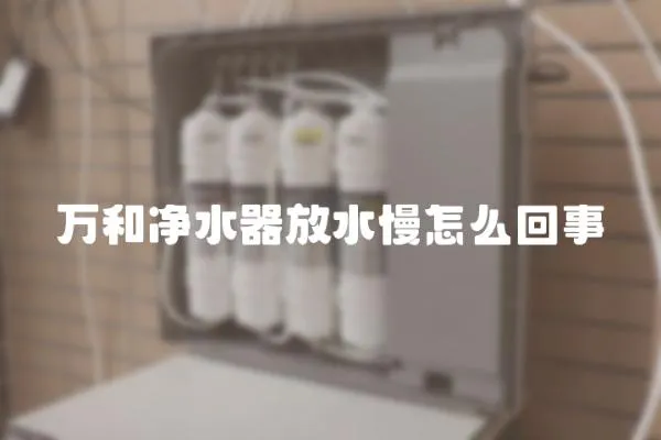 萬和凈水器放水慢怎么回事