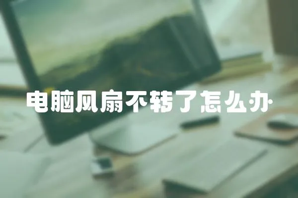 電腦風扇不轉(zhuǎn)了怎么辦