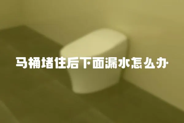 馬桶堵住后下面漏水怎么辦
