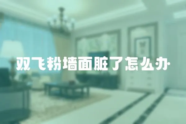雙飛粉墻面臟了怎么辦
