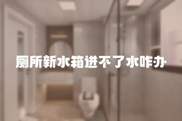 廁所新水箱進不了水咋辦