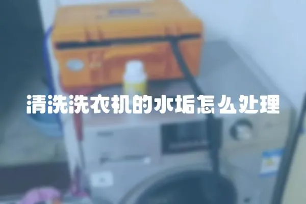 清洗洗衣機(jī)的水垢怎么處理