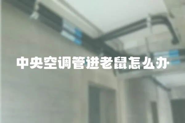 中央空調管進老鼠怎么辦