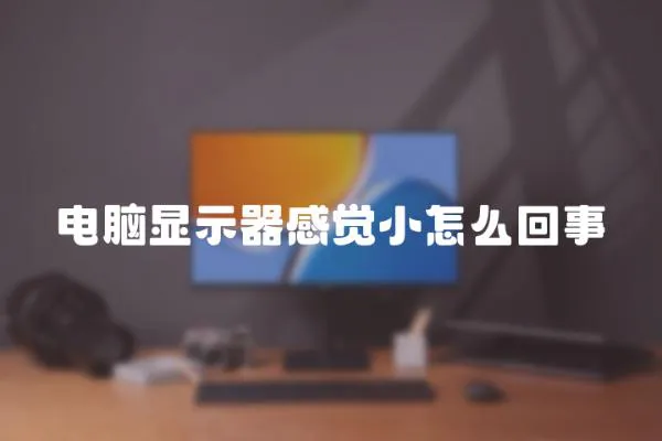 電腦顯示器感覺小怎么回事