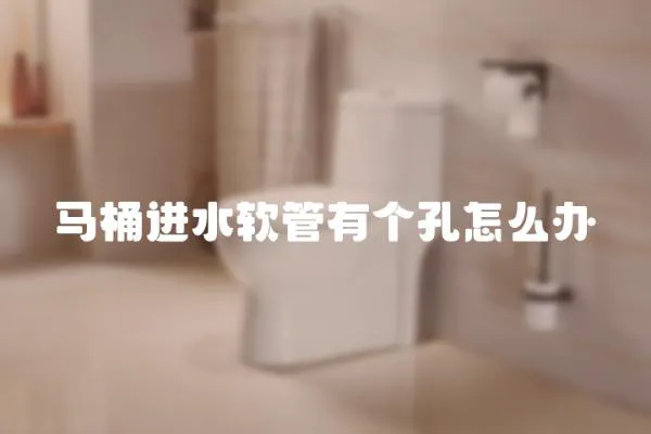馬桶進(jìn)水軟管有個孔怎么辦