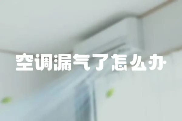 空調漏氣了怎么辦