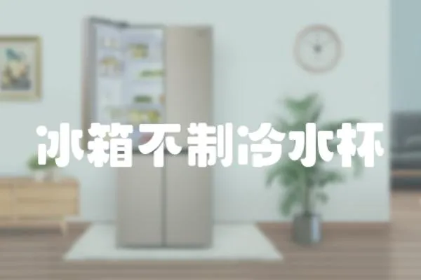 冰箱不制冷水杯