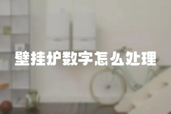 壁掛爐數字怎么處理