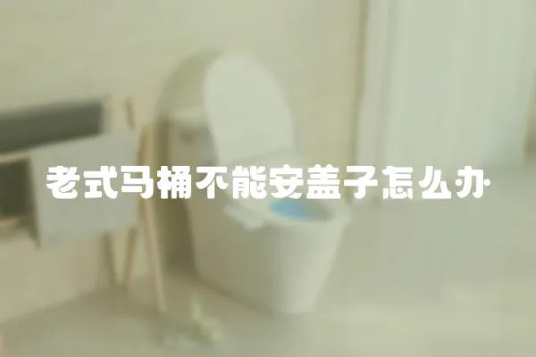 老式馬桶不能安蓋子怎么辦