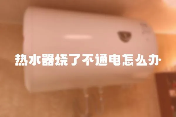 熱水器燒了不通電怎么辦