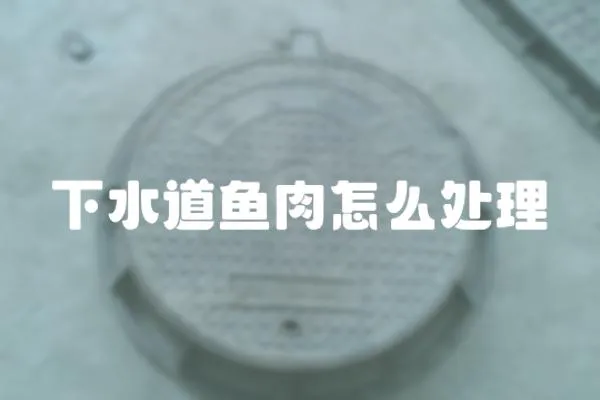 下水道魚肉怎么處理