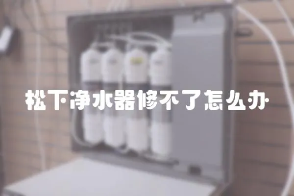 松下凈水器修不了怎么辦