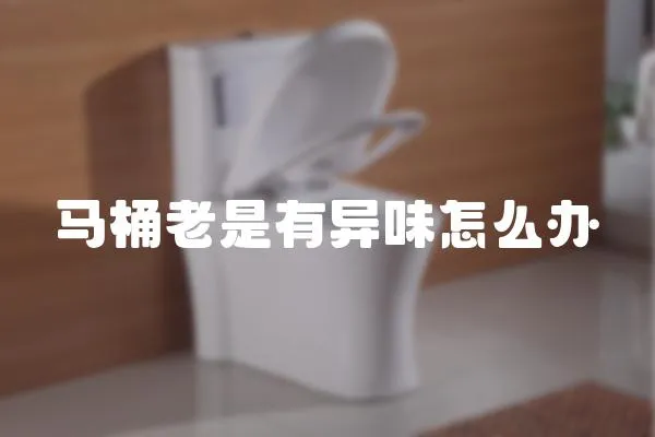 馬桶老是有異味怎么辦