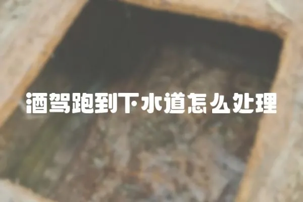 酒駕跑到下水道怎么處理