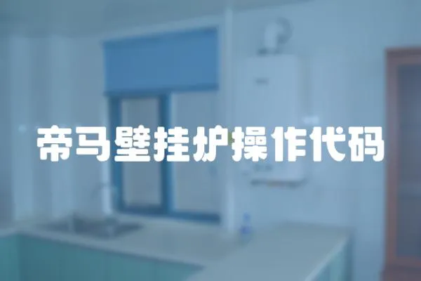 帝馬壁掛爐操作代碼