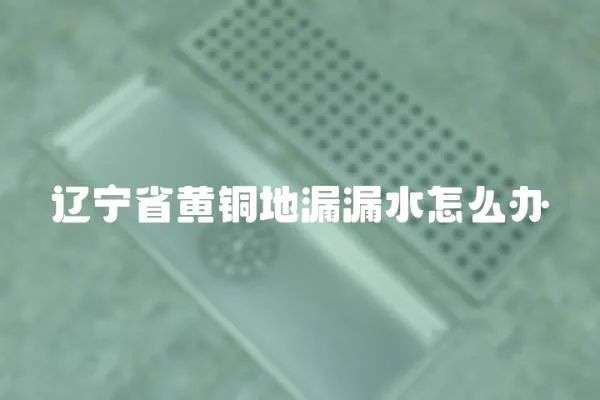 遼寧省黃銅地漏漏水怎么辦