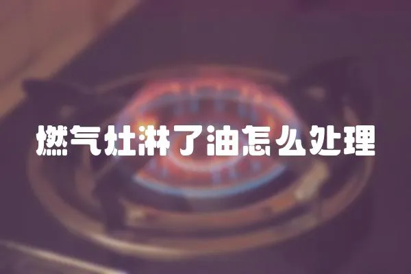 燃?xì)庠盍芰擞驮趺刺幚?></a></div>
                    <div   id=