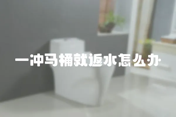 一沖馬桶就返水怎么辦