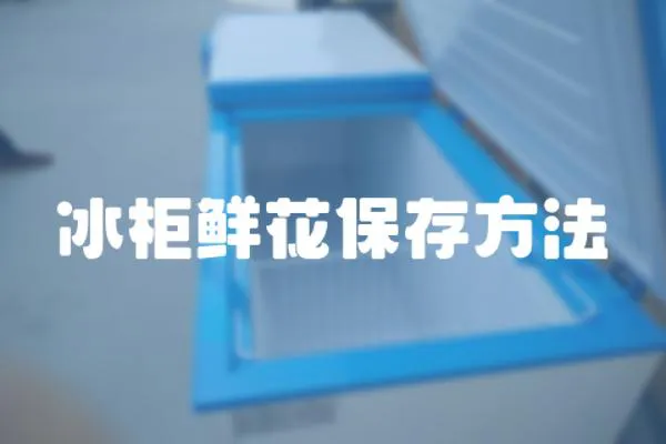 冰柜鮮花保存方法