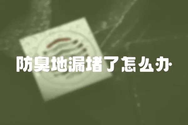 防臭地漏堵了怎么辦