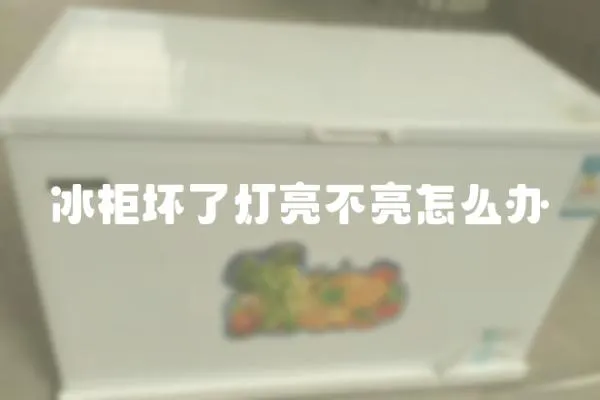 冰柜壞了燈亮不亮怎么辦