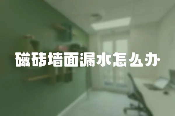 磁磚墻面漏水怎么辦