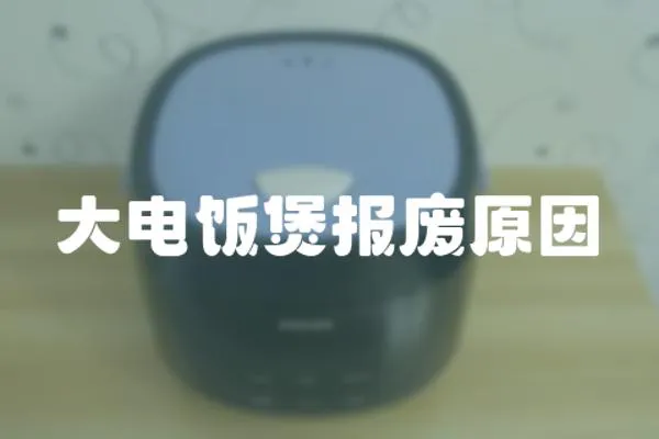 大電飯煲報廢原因