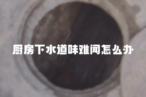 廚房下水道味難聞怎么辦