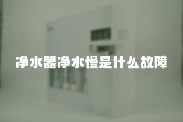 凈水器凈水慢是什么故障