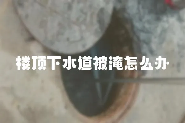 樓頂下水道被淹怎么辦