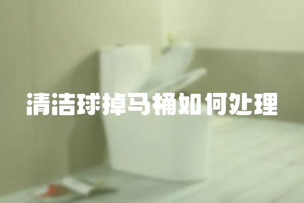 清潔球掉馬桶如何處理