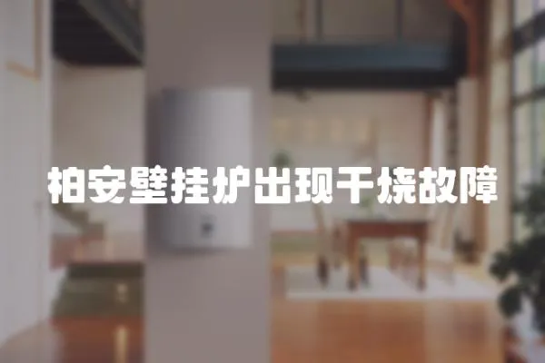 柏安壁掛爐出現(xiàn)干燒故障