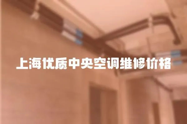 上海優質中央空調維修價格