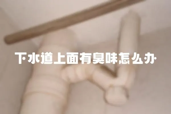 下水道上面有臭味怎么辦