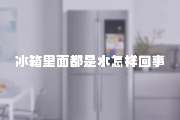 冰箱里面都是水怎樣回事